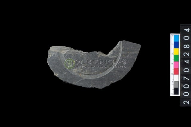 石環製作材料－中央帶啄孔與旋截痕打製圓板