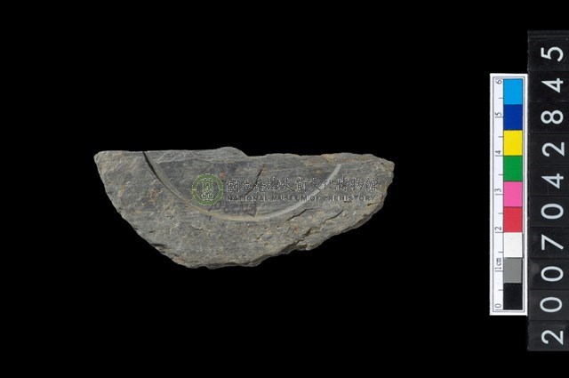 石環製作材料-中央帶旋截痕打製圓板殘件