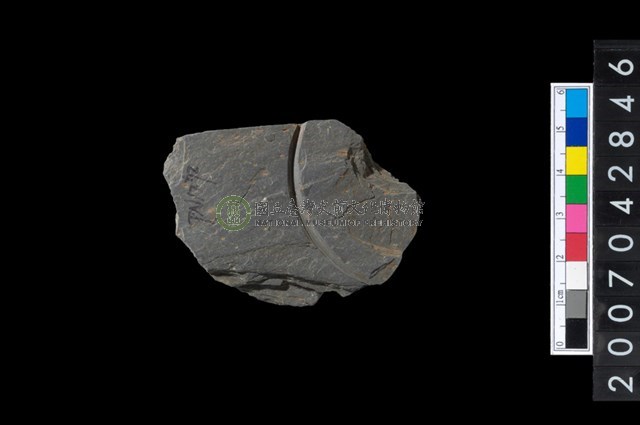 石環製作材料-中央帶旋截痕打製圓板殘件