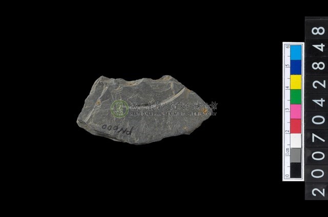 石環製作材料-中央帶啄孔與旋截痕打製圓板殘件