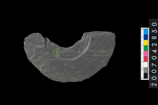 石環製作材料-中央帶啄孔與旋截痕打製圓板殘件