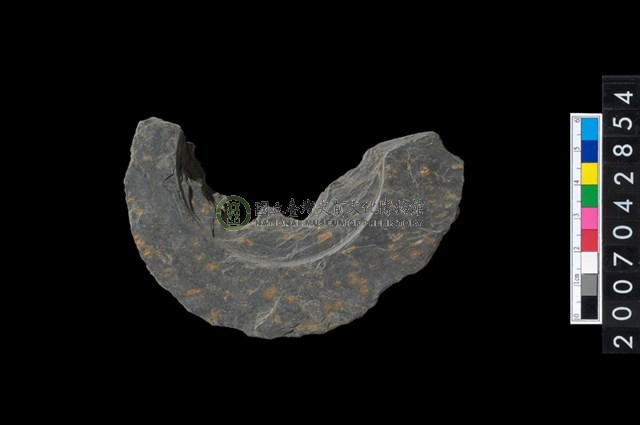 石環製作材料-中央帶啄孔與旋截痕打製圓板殘件