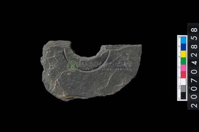 石環製作材料－中央帶啄孔與旋截痕打製圓板