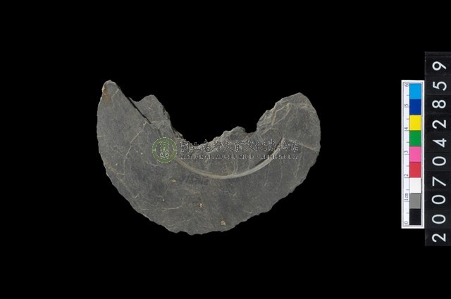 石環製作材料－中央帶啄孔與旋截痕打製圓板