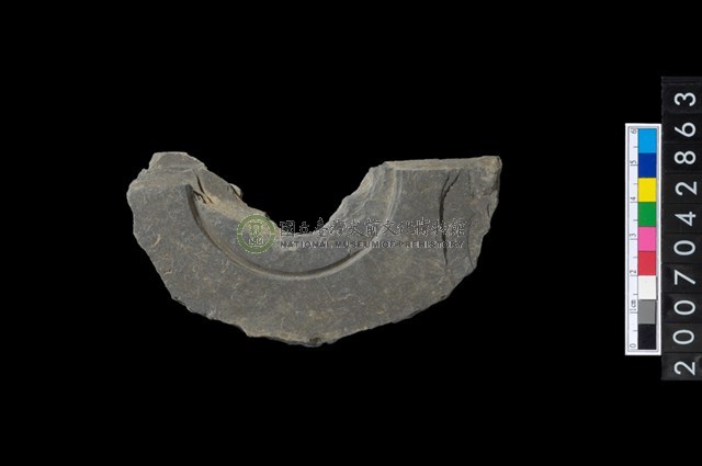 石環製作材料－中央帶啄孔與旋截痕打製圓板