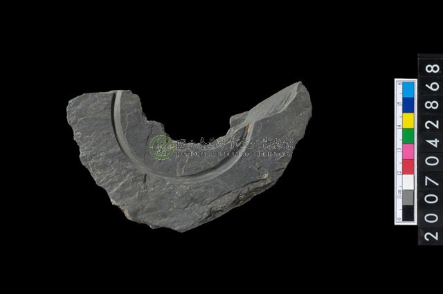 石環製作材料－中央帶啄孔與旋截痕打製圓板