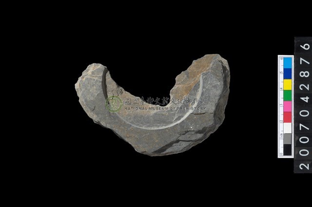 石環製作材料-中央帶啄孔與旋截痕打製圓板殘件