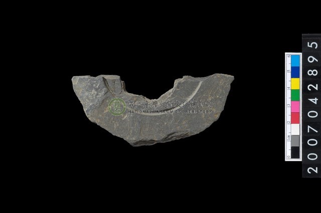 石環製作材料－中央帶啄孔與旋截痕打製圓板殘件