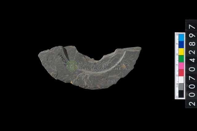 石環製作材料－中央帶啄孔與旋截痕打製圓板殘件