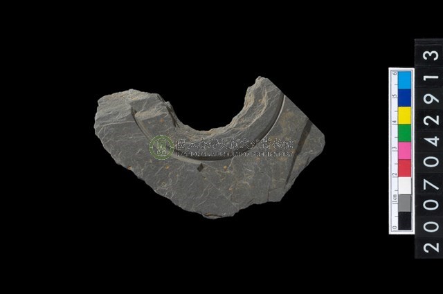 石環製作材料-中央帶啄孔與旋截痕打製圓板殘件