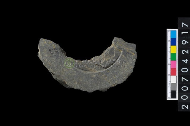 石環製作材料-中央帶啄孔與旋截痕打製圓板殘件