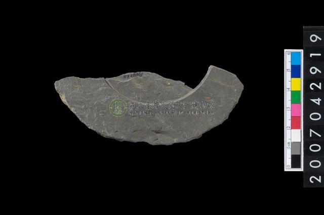 石環製作材料-中央帶啄孔與旋截痕打製圓板殘件