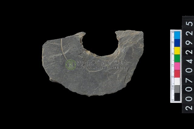 石環製作材料-中央帶啄孔與旋截痕打製圓板殘件