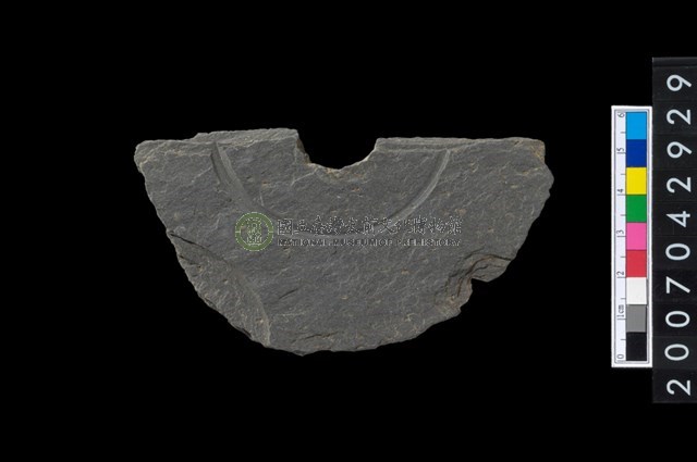 石環製作材料-中央帶啄孔與旋截痕打製圓板殘件