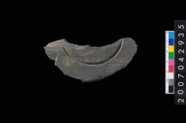 石環製作材料-中央帶啄孔與旋截痕打製圓板殘件