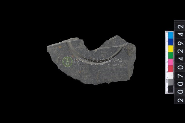 石環製作材料-中央帶啄孔與旋截痕打製圓板殘件