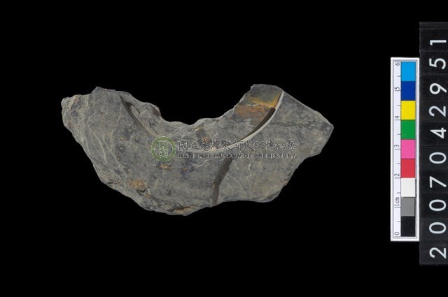 石環製作材料-中央帶啄孔與旋截痕打製圓板殘件