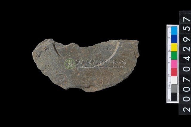 石環製作材料-中央帶啄孔與旋截痕打製圓板殘件