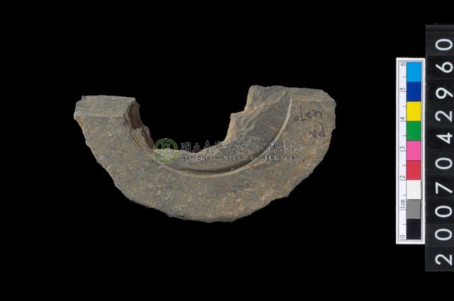 石環製作材料-中央帶啄孔與旋截痕打製圓板殘件