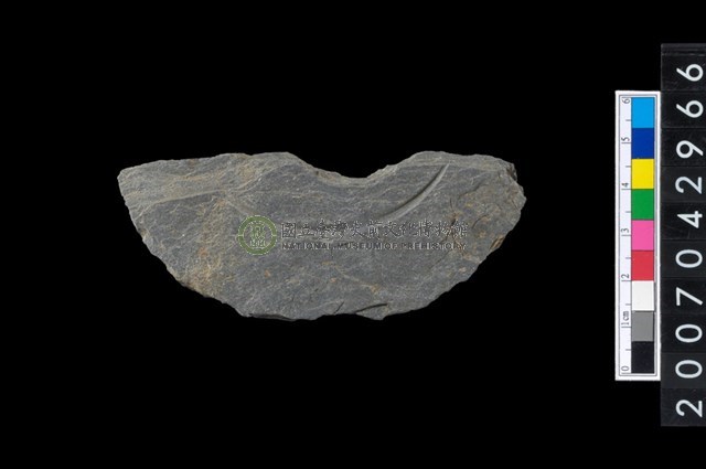 石環製作材料-中央帶啄孔與旋截痕打製圓板殘件