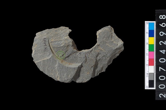 石環製作材料-中央帶啄孔與旋截痕打製圓板殘件