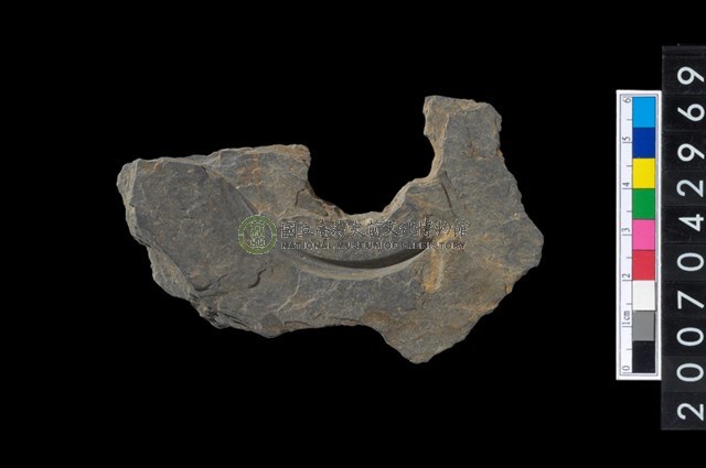 石環製作材料-中央帶啄孔與旋截痕打製圓板殘件