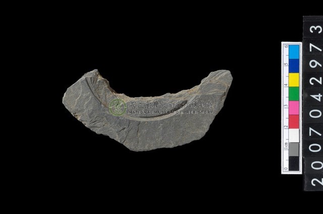 石環製作材料-中央帶啄孔與旋截痕打製圓板殘件