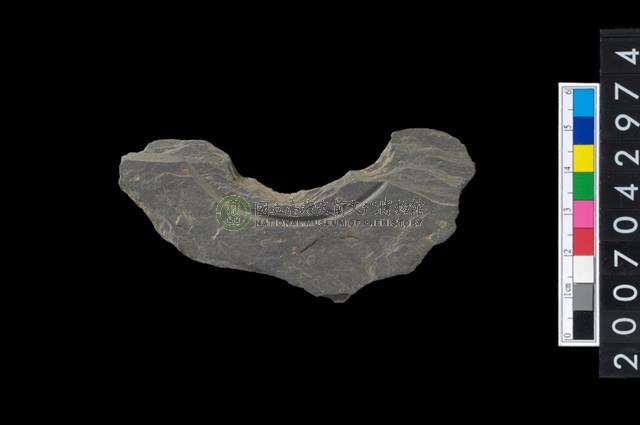 石環製作材料-中央帶啄孔與旋截痕打製圓板殘件