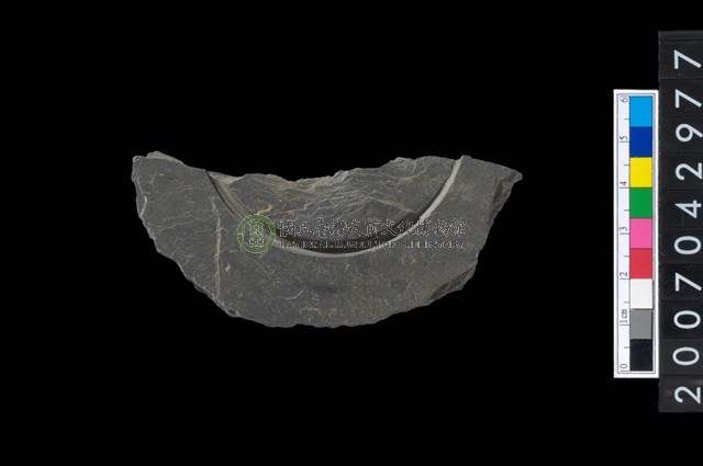 石環製作材料-中央帶啄孔與旋截痕打製圓板殘件