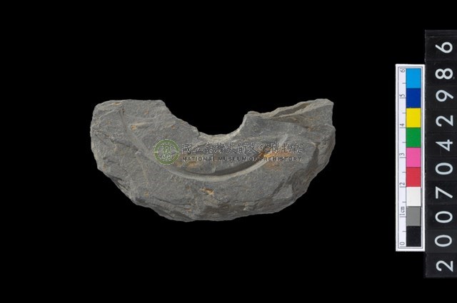 石環製作材料-中央帶啄孔與旋截痕打製圓板殘件