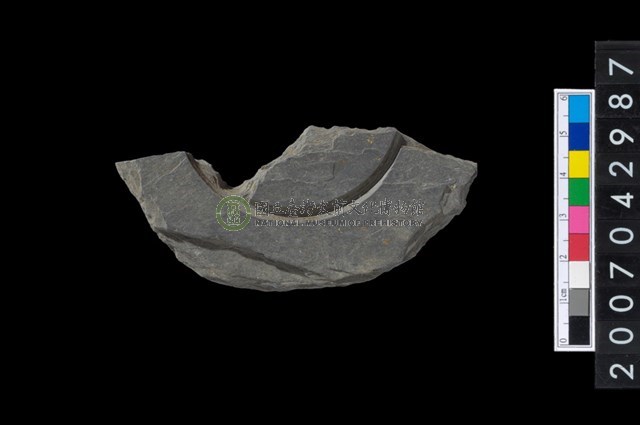 石環製作材料-中央帶啄孔與旋截痕打製圓板殘件