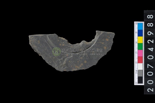 石環製作材料-中央帶啄孔與旋截痕打製圓板殘件