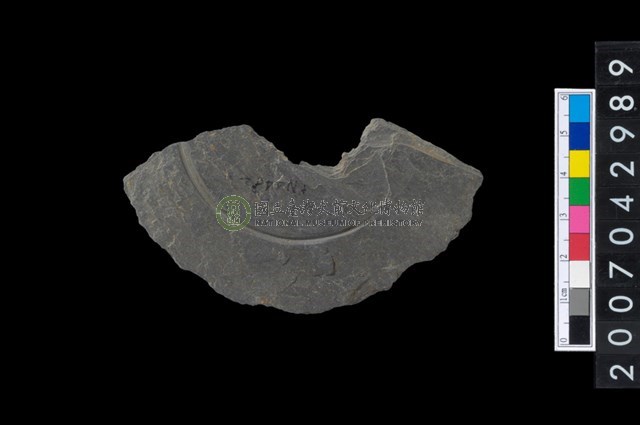 石環製作材料-中央帶啄孔與旋截痕打製圓板殘件