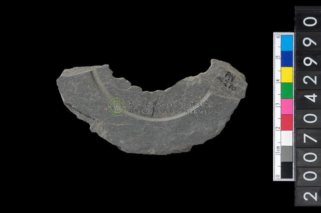 石環製作材料-中央帶啄孔與旋截痕打製圓板殘件