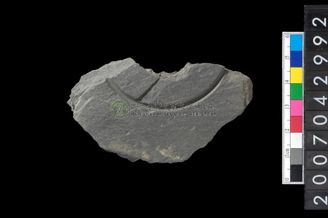 石環製作材料-中央帶啄孔與旋截痕打製圓板殘件