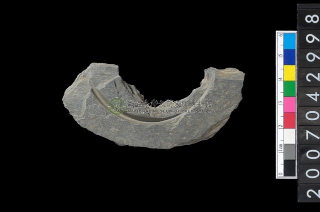 石環製作材料-中央帶啄孔與旋截痕打製圓板殘件