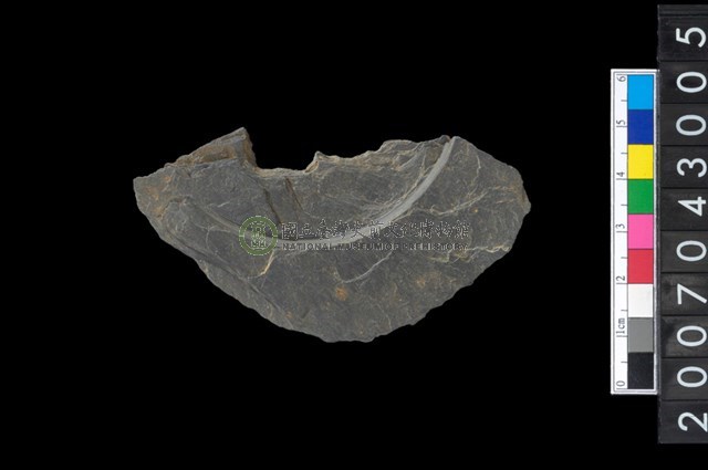 石環製作材料-中央帶啄孔與旋截痕打製圓板殘件