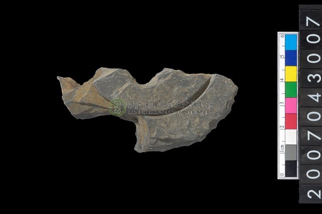 石環製作材料-中央帶啄孔與旋截痕打製圓板殘件