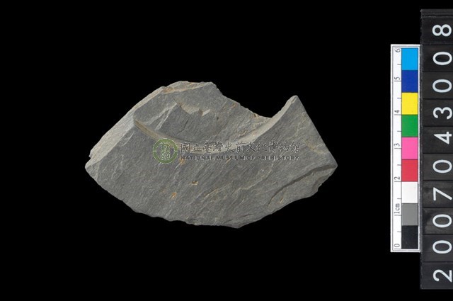 石環製作材料-中央帶啄孔與旋截痕打製圓板殘件