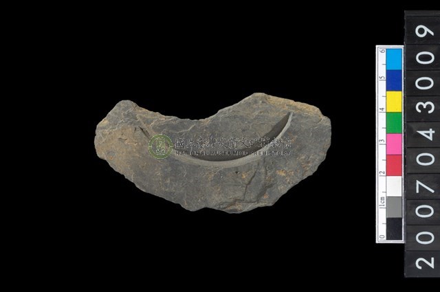 石環製作材料-中央帶啄孔與旋截痕打製圓板殘件