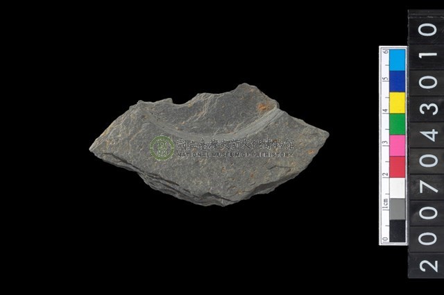 石環製作材料-中央帶啄孔與旋截痕打製圓板殘件