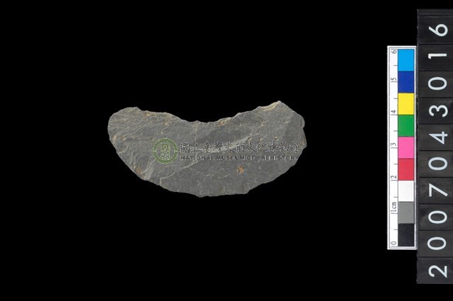 石環製作材料－中央帶啄孔與旋截痕打製圓板殘件