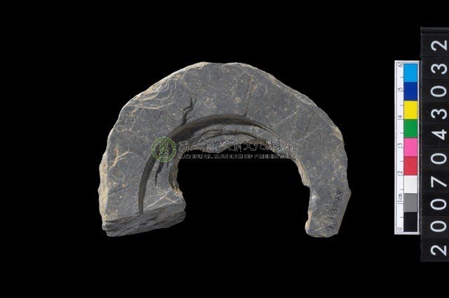 石環製作材料-中央帶啄孔與旋截痕打製圓板殘件