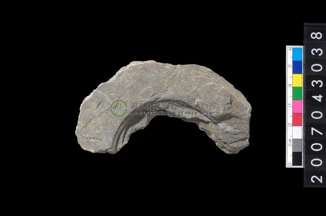 石環製作材料-中央帶啄孔與旋截痕打製圓板殘件