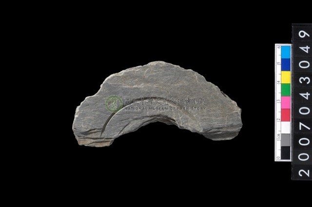 石環製作材料-中央帶啄孔與旋截痕打製圓板殘件