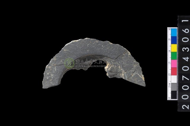 石環製作材料-中央帶啄孔與旋截痕打製圓板殘件