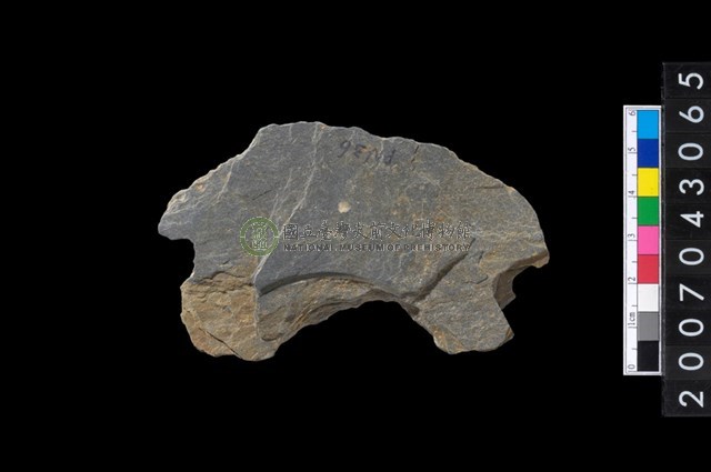 石環製作材料-中央帶啄孔與旋截痕打製圓板殘件