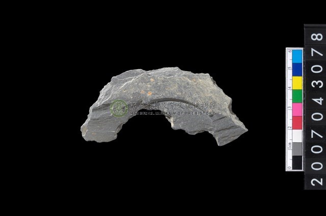 石環製作材料-中央帶啄孔與旋截痕打製圓板