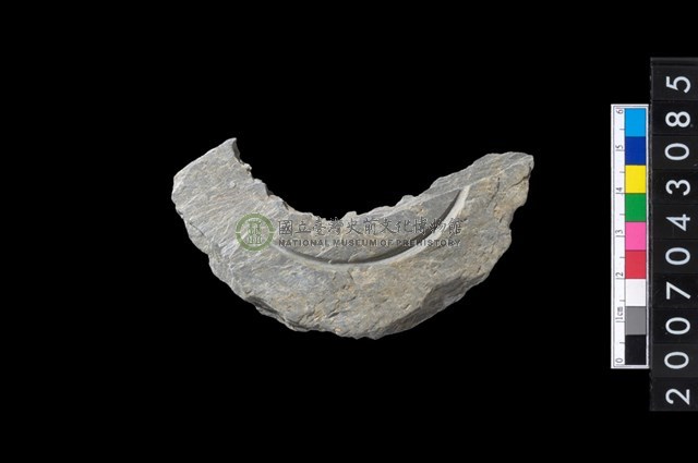 石環製作材料-中央帶啄孔與旋截痕打製圓板