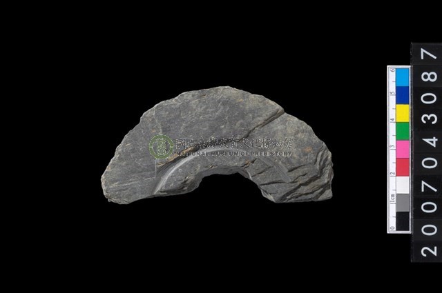 石環製作材料-中央帶啄孔與旋截痕打製圓板